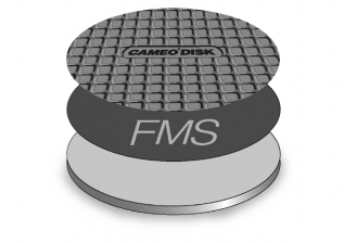 Disk FMS